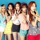 레이디스 코드 카카오 검색결과