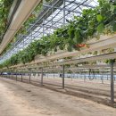 유봉농장 이미지