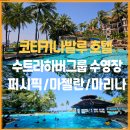 코타키나발루 퍼시픽 마젤란 마리나 수트라하버그룹 수영장 이용후기
