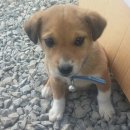 윤희네농장 이미지