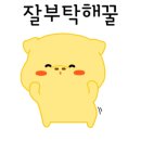 고래유도관 네이버블로그
