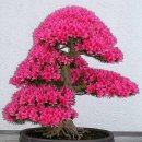 추곡초등학교 이미지