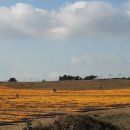 주홍목장 이미지