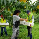 감곡농협 이미지