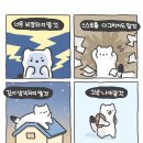 경기도 수원시 영통구 매탄로 매탄로51번길 네이버블로그