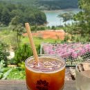 라벤더(LAVENDA)