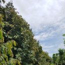 되고개농장 이미지