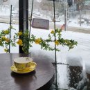 카페일분 안성점 이미지