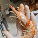 상일수산 | [태안 서부시장] 상일수산 자연산 내돈내산 대하 후기!