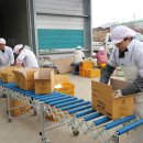 솔뫼유기농업영농조합법인 이미지