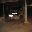 지전부페 이미지