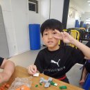 푸른나무 태권도 이미지