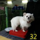 서창방산로 이미지