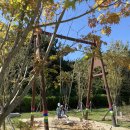 파레사애견풀빌라 이미지