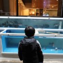 삼거리산오징어활어회 이미지