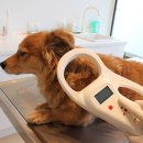 오류동물병원 이미지