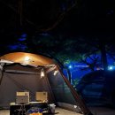 부흥민박 | 대구 근교 노지 캠핑 :D 바다 바로 앞 차박 노지 캠핑하기 좋은 영덕 부흥해변 방문 후기!