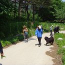 설악산자연학교 이미지