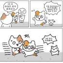 이바이브 이미지