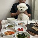 댕댕이이발관 이미지
