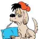 못된강아지 이미지