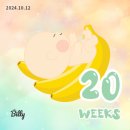 [임신기록] 예비 청뱀띠맘_20,21,22주 임신 기록