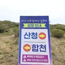 황매산등산로 | 경남 산청 황매산 철쭉제 여행 후기 꽃도 사람도 축제도...