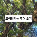 도이 인타논 국립 공원 하이킹 투어 후기 – 치앙마이 자연에서 트레킹
