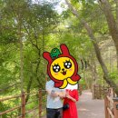 세븐일레븐 광릉수목원점 이미지