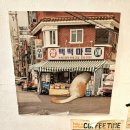 라임고양이 | 동대구역 북카페 심플책방: 레트로 감성 가득한 지하 독립서점 내돈내산 후기 (고양이&amp;칵테일)