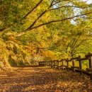 (주)더 아름다운 사람 이미지