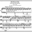 티시엠 | Beethoven 피아노소나타 제14번, Op.27-2 "월광" -<악보.해설,음원>