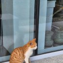 소무 | 포항 북구 신광 논뷰 카페 추천: 소무랑