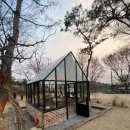 포레스트 구봉 이미지