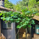 박터진흥부네 이미지