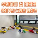 용이 아이스타 태권도&점핑클럽 이미지