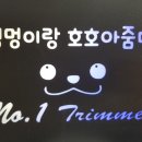 멍멍이랑 호호아줌마 이미지