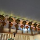 가오리역 | 강북구 점집 가오리역 보화궁 후기(가격, 위치 포함)