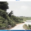 전원농장 Daum카페