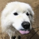 루키목장 이미지