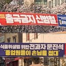 금지기획