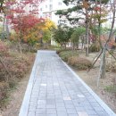 신도시롯데캐슬공인중개사사무소 이미지
