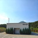영소목장 | 가평 양떼목장 후기 ㅣ 서울 근교 감성 나들이 추천 여행지