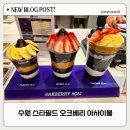 수원 스타필드 [ 오크베리 ] 아사이볼 디저트카페 망고맘보 내돈내산 후기