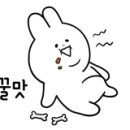 김영화 부개찌개 이미지