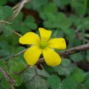 까미노펜션 이미지