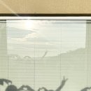 아셉오어