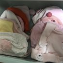 (이레아이맘)수원산후도우미 이미지