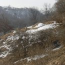 운성부원군 묘 Daum카페