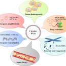 extrachromosomal circular DNA in cancer pathogenesis and therapeutic resist 이미지